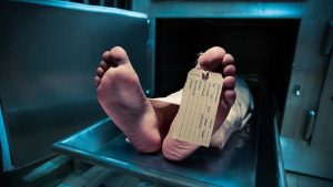 Tengkorak Utuh, Tapi...? Fakta Mayat Ciliwung Terkuak!