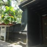 Makam Raja Imogiri: Kabut Mistis dan Sejarah Mataram