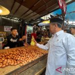 Mentan Amran Obrak-abrik Pasar: Harga Pangan Terjun Bebas!