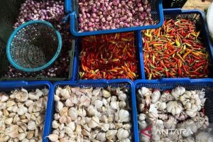 Harga Pangan Melambung: Bawang & Cabai Pimpin Kenaikan!