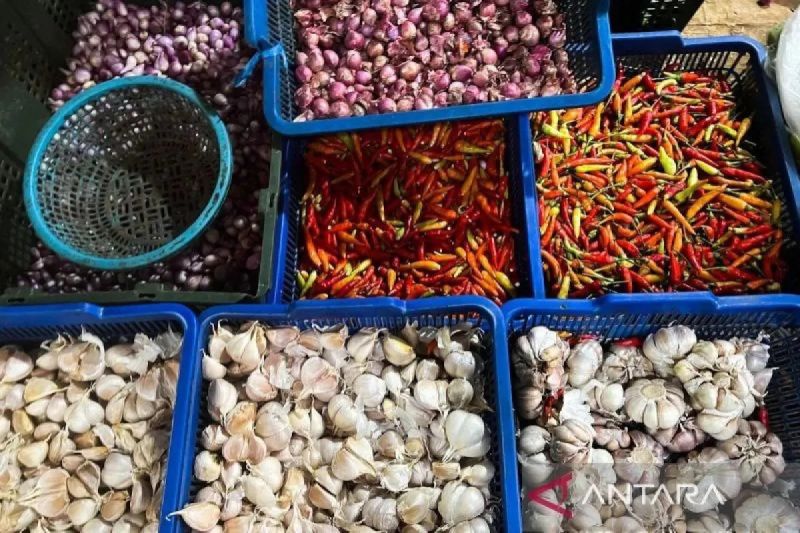 Harga Pangan Melambung: Bawang & Cabai Pimpin Kenaikan!