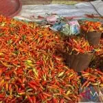 Gawat! Harga Cabai Rawit & Ayam Meroket Tajam!