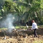 Heroik! Petani Padang Bersatu, Lahan 102 Ha Diselamatkan!