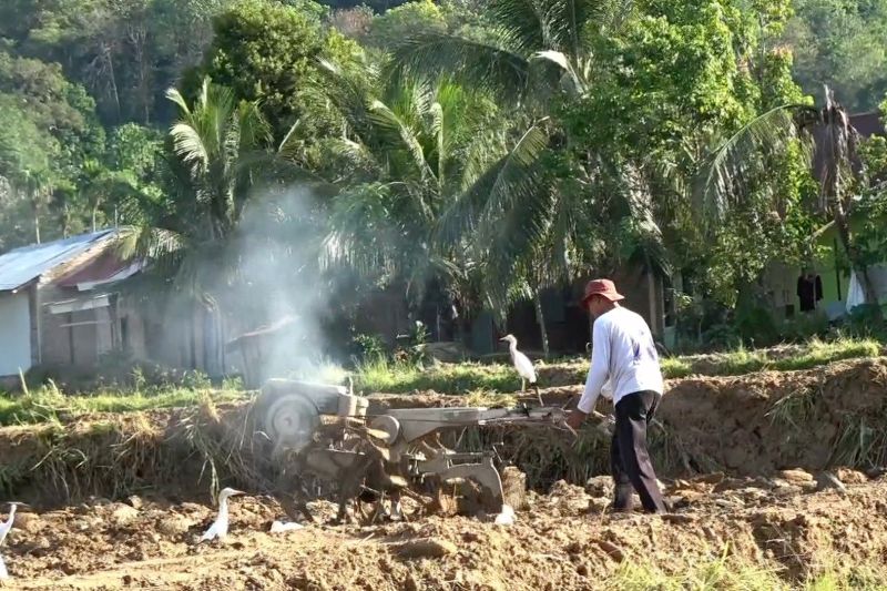 Heroik! Petani Padang Bersatu, Lahan 102 Ha Diselamatkan!