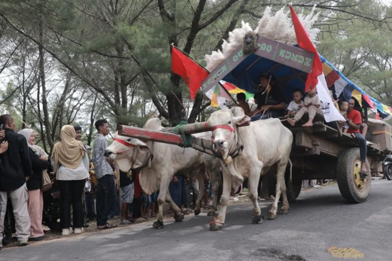 Jember Punya Harta Karun! Gerobak Sapi Kuno Ini Bikin Takjub!