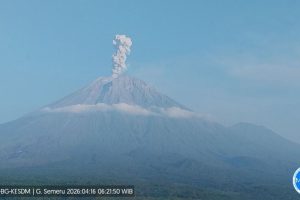 Semeru Meledak Lima Kali! Kolom Abu Setinggi Gedung Pencakar Langit!