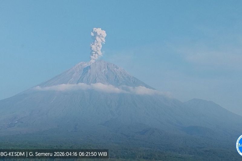 Semeru Meledak Lima Kali! Kolom Abu Setinggi Gedung Pencakar Langit!