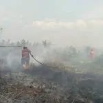 Riau Darurat Karhutla Belasan Ribu Hektare Ludes