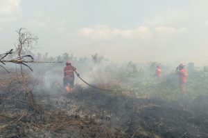 Riau Darurat Karhutla Belasan Ribu Hektare Ludes