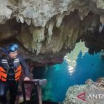 Terungkap Rahasia Goa Halo Tabung Berau