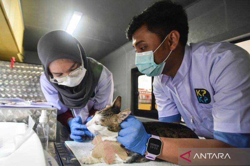 Lenterapos 4 Rahasia Layanan Kesehatan Hewan DKI Terbongkar