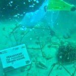 Rahasia Keindahan Laut Bengkulu Terungkap Sekarang