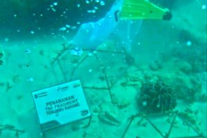 Rahasia Keindahan Laut Bengkulu Terungkap Sekarang