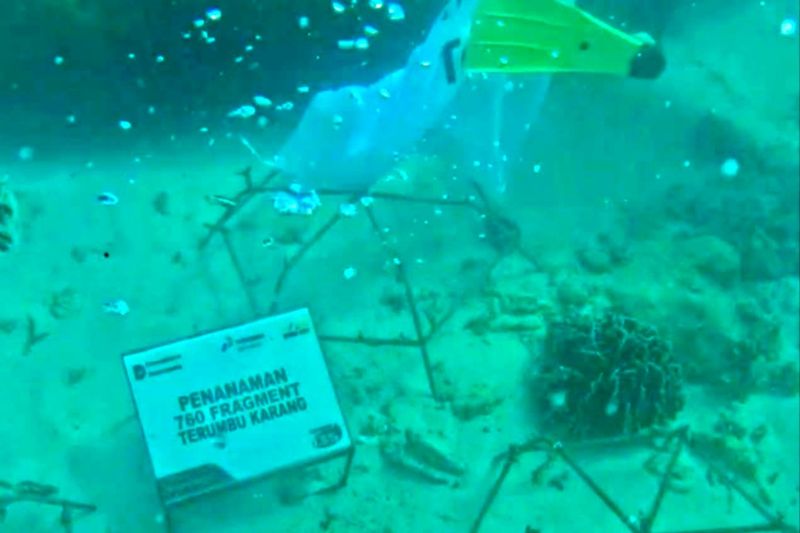 Rahasia Keindahan Laut Bengkulu Terungkap Sekarang