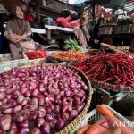Harga Pangan Gila Gilaan Cabai Telur Bikin Melotot