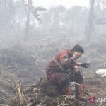 6 Provinsi Ini Jadi Sorotan Dunia Selamatkan Bumi