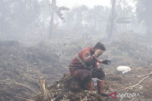 6 Provinsi Ini Jadi Sorotan Dunia Selamatkan Bumi