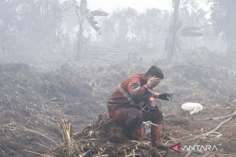 6 Provinsi Ini Jadi Sorotan Dunia Selamatkan Bumi