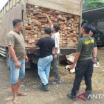 Jaringan Kayu Ilegal Jambi Terkuak