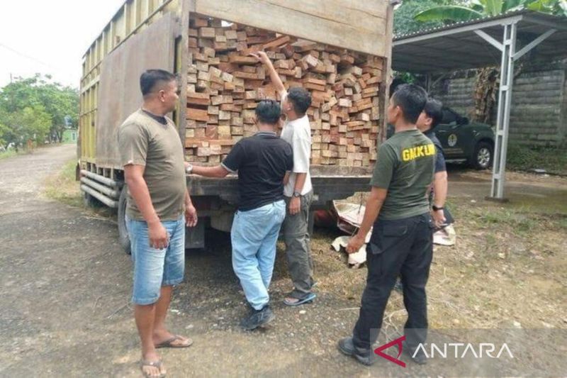 Lenterapos 4 Jaringan Kayu Ilegal Jambi Terkuak