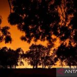Spanyol Mencekam Kebakaran Hutan Menggila