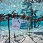 MPMX Bikin Laut NTT Gempar Selamatkan Ekosistem