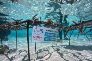 MPMX Bikin Laut NTT Gempar Selamatkan Ekosistem