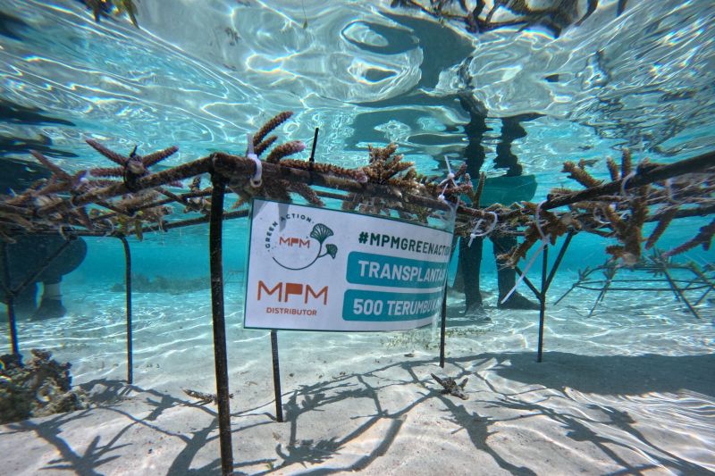 MPMX Bikin Laut NTT Gempar Selamatkan Ekosistem