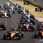 Estaban Ocon Pamit dari Haas